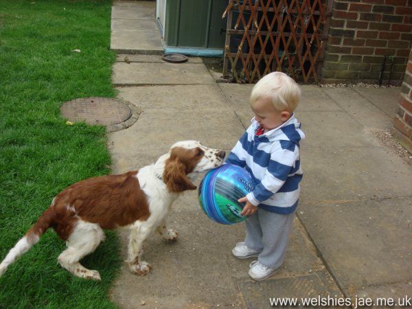 2009-06 06L.JPG - OK, you got me - there's no sandpit in this photo!